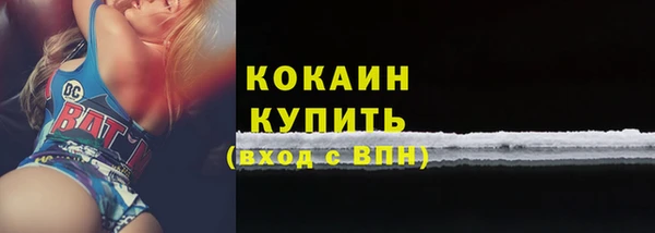 твердый Верея