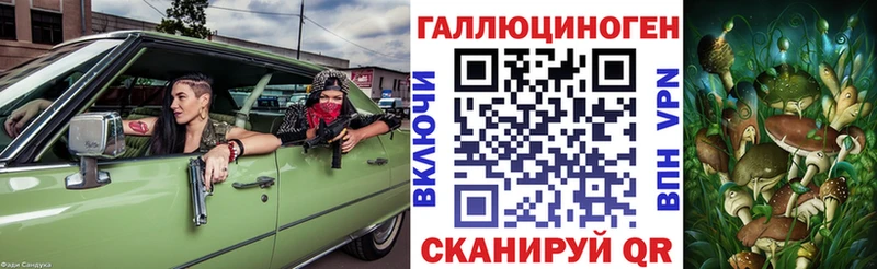 Галлюциногенные грибы мицелий  купить  цена  Великий Новгород 