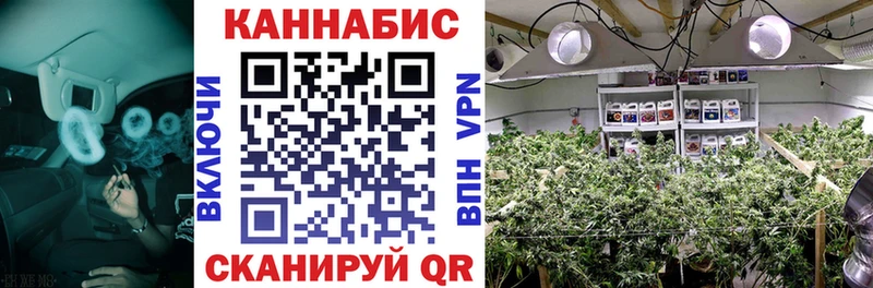 Конопля THC 21%  omg как войти  Великий Новгород 